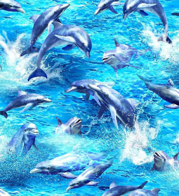 The Deep-Dolphins OA-597801