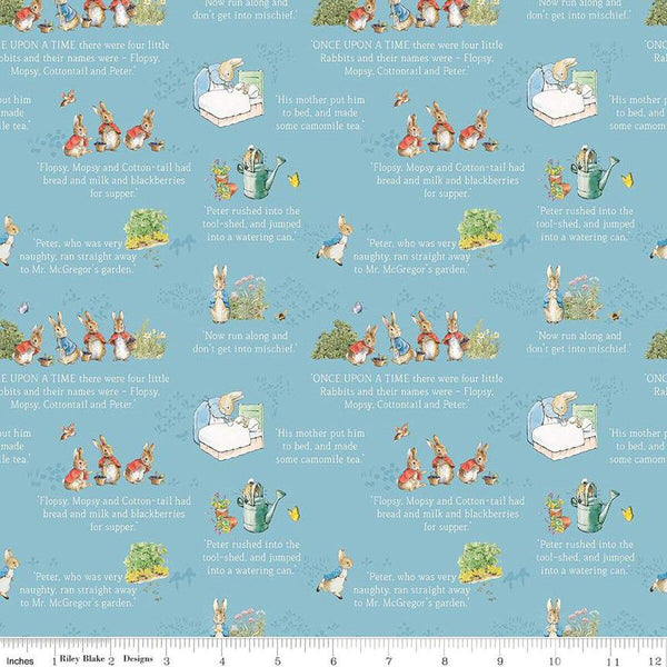 The Tale Of Peter Rabbit-TextBlue C14701-BLUE