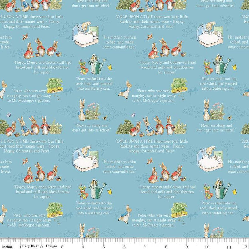 The Tale Of Peter Rabbit-TextBlue C14701-BLUE
