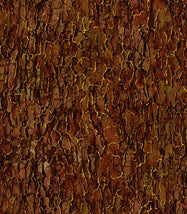 Turning Colors-Tree Bark Brown OA598761-BROWN