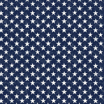 USA Patriotic Stars-Navy GAIL-CD2226-NAVY