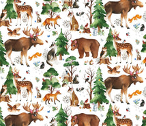 Who Lives In The Woods?-Woodland Animals White 724-WHITE