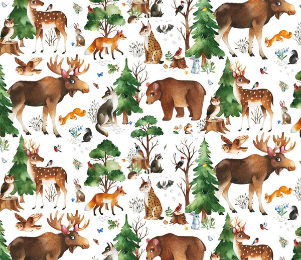 Who Lives In The Woods?-Woodland Animals White 724-WHITE