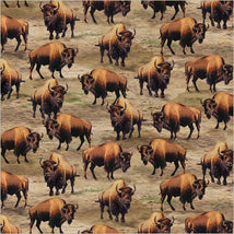 Wild Kingdom-Burly Bison Rangeland 55036D-1