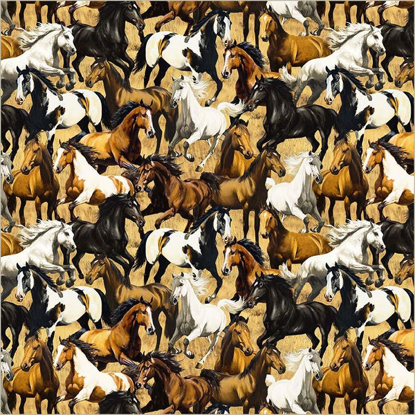 Wild Kingdom-Gallant Gallopers Multi 55026D-1