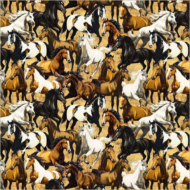 Wild Kingdom-Gallant Gallopers Multi 55026D-1