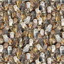 Wild Kingdom-Observant Owls Multi 55032D-1