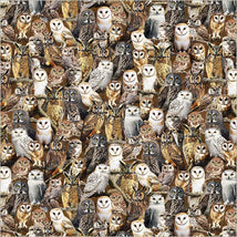 Wild Kingdom-Observant Owls Multi 55032D-1