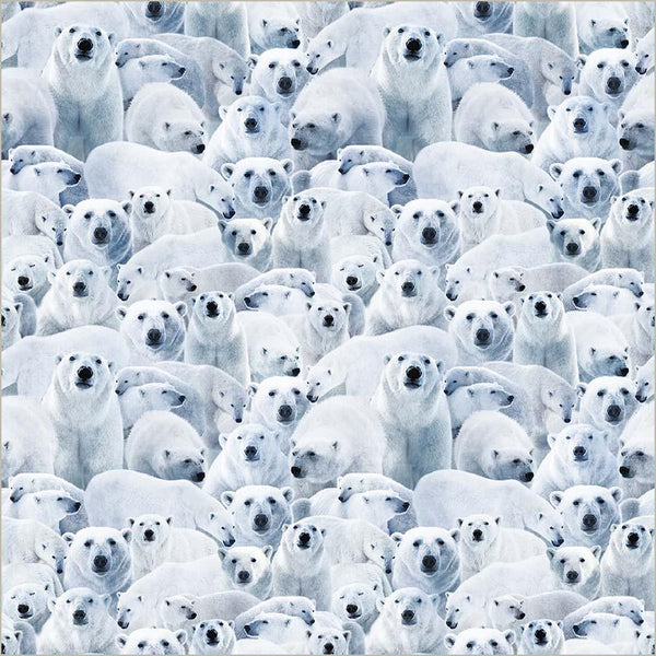 Wild Kingdom-Polar White Arctic 55033D-1