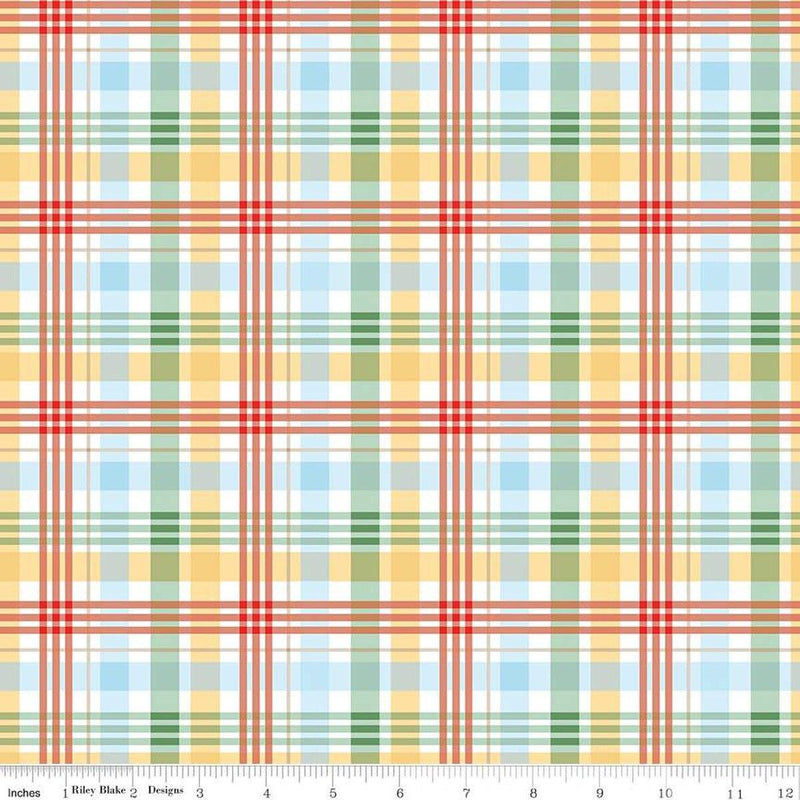 Winnie the Pooh-Plaid Multi C17005-MULTI