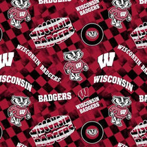 Wisconsin Check Allover-Cotton WIS1370