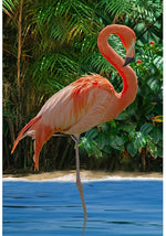 Call Of The Wild-31" Flamingo Panel V5335-264