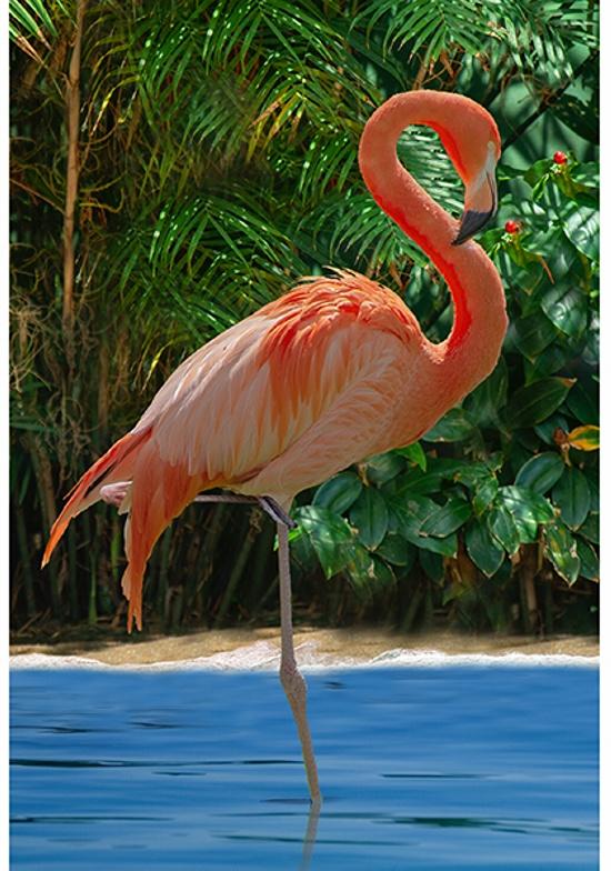 Call Of The Wild-31" Flamingo Panel V5335-264