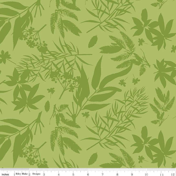 Floral Gardens-Foliage Green CD14361-GREEN