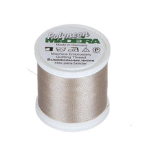 Polyneon Poly Emb Thrd Pewter 9845-1860