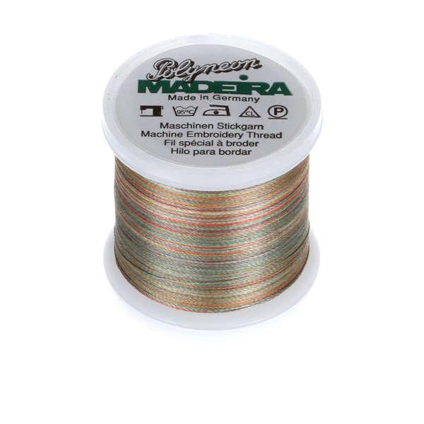 Polyneon Poly Emb Thrd Variegated Chameleon 9845-1604