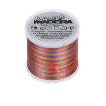 Polyneon Poly Emb Thrd Variegated Horizon 9845-1609