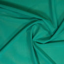 Sheer Stretch Mesh Jade Green 43