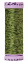 Silk-Finish Ferns 50wt 100M Variegated Cotton Thread