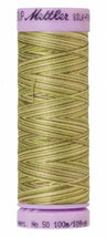 Silk-Finish Green Tea 50wt 100M Variegated Cotton Thread
