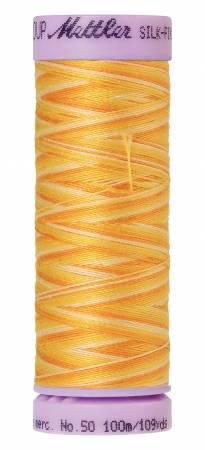 Silk-Finish Horizon 50wt 100M Variegated Cotton Thread