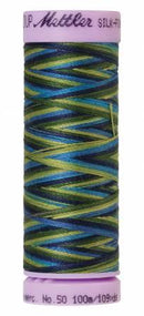 Silk-Finish Lakeside View 50wt 100M Variegated Cotton Thread