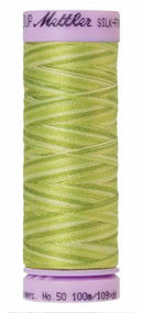 Silk-Finish Little Spouts 50wt 100M Variegated Cotton Thread