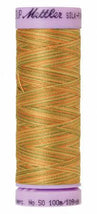 Silk-Finish New Fields 50wt 100M Variegated Cotton Thread