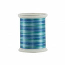 Superior Fantastico Variegated Trilobal Polyester 500yds-Niagara 11701-5006