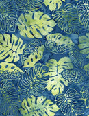 Tonga-Scuba TONGA-B1381-OCEAN