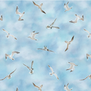 Turtle March-Sky Blue 1139-11